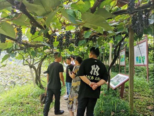 天然氧吧，醉美梯田——記博海國濟商學院贛州教學點總裁19班崇義之旅444.jpg