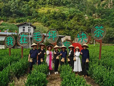【企業走訪】——走訪陜西分院總裁1班學員企業丹鳳秦鼎茶業有限公司