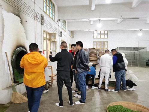 不負春光，踏青采茶——記贛州教學點總裁23班走進上猶五指峰上洞茶園516.jpg