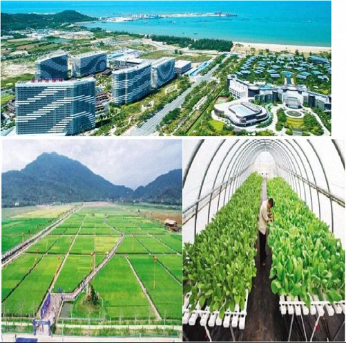 【活動預告】2021EMBA總裁班企業家海南自貿港研學之旅火熱開啟中！6579.jpg